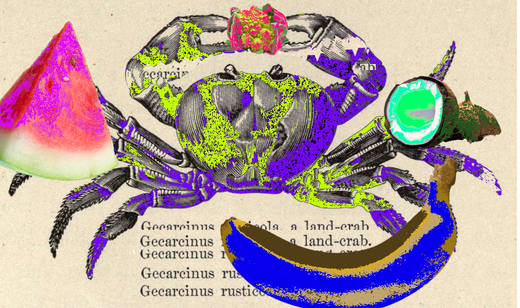 Crab with fruit and bucketfill colors